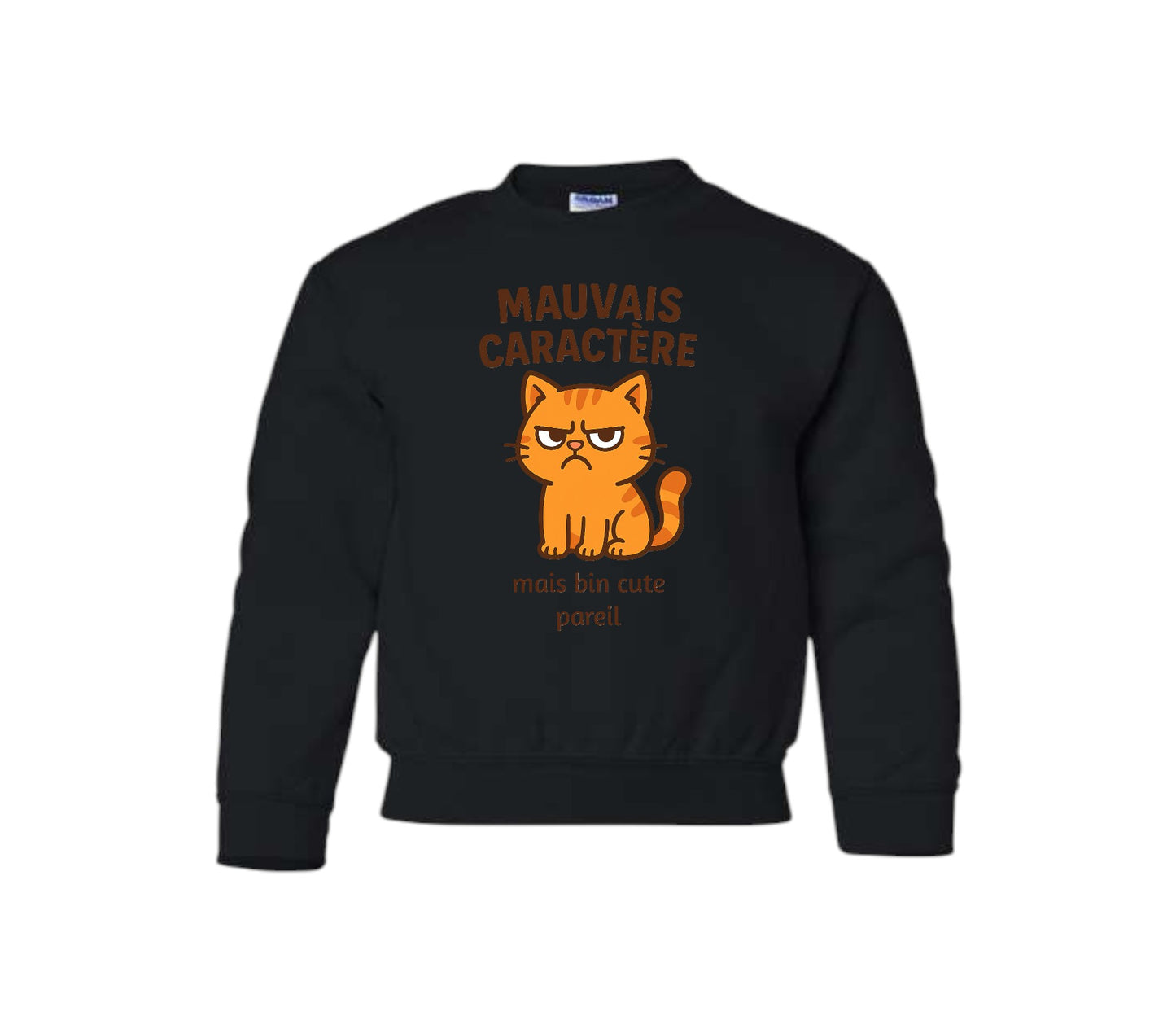 Mauvais caractère