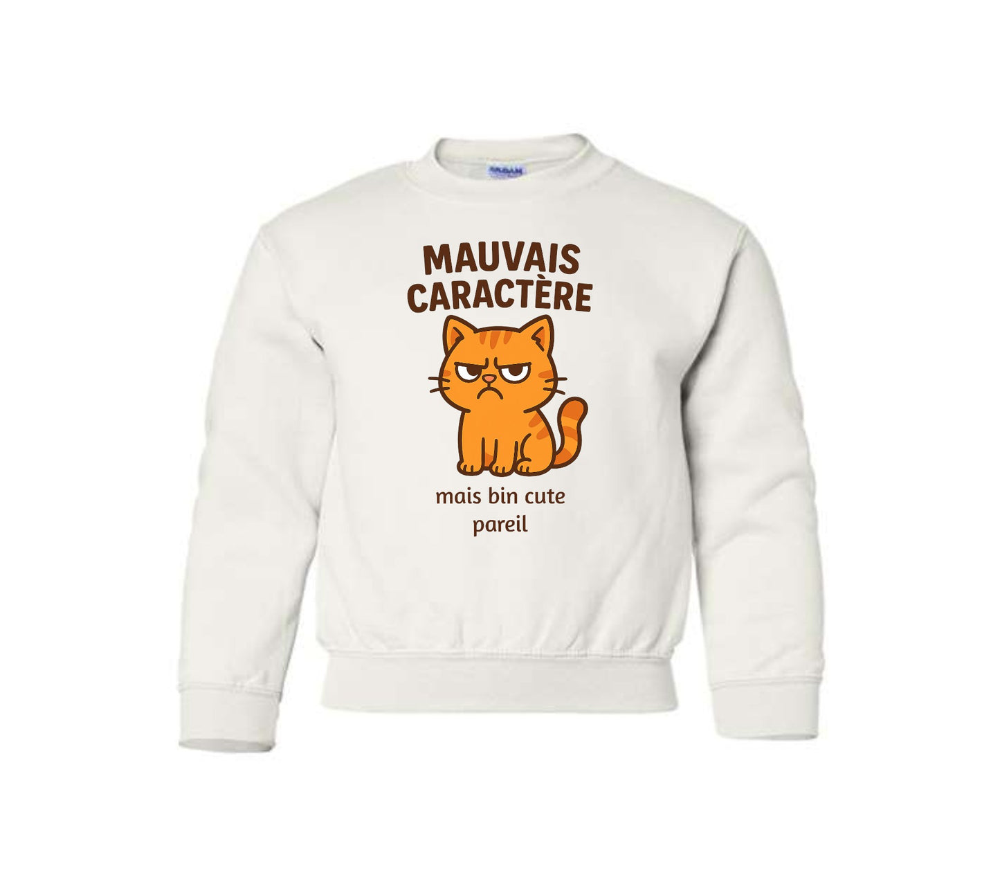 Mauvais caractère
