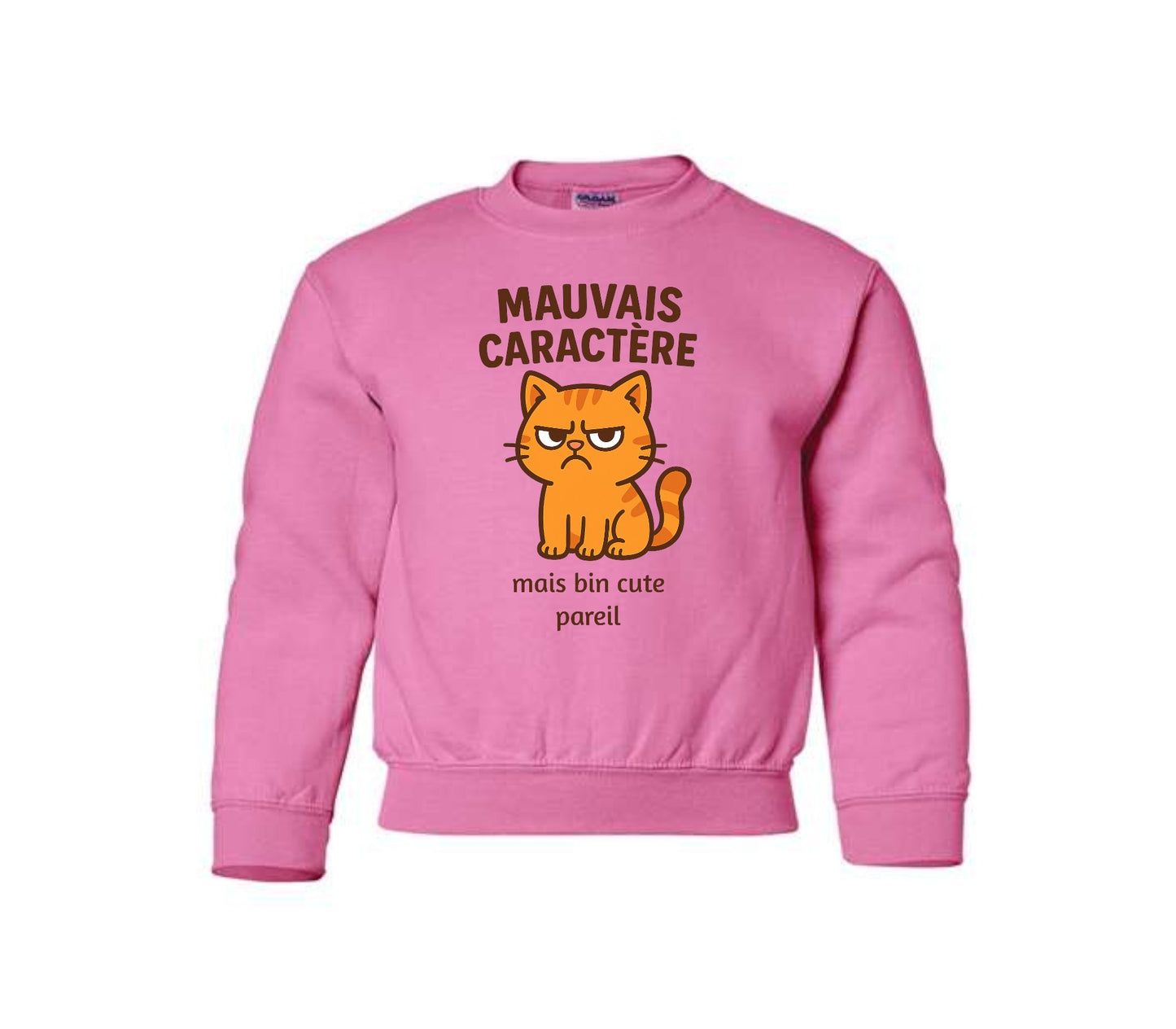 Mauvais caractère