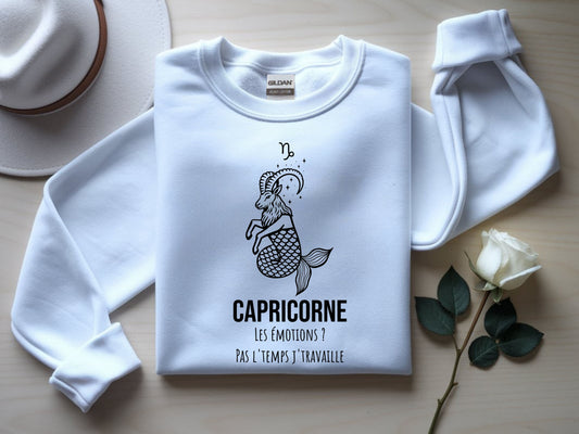 Zodiaque Capricorne