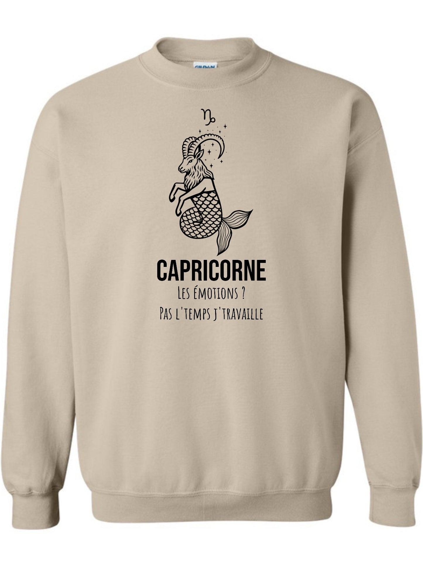 Zodiaque Capricorne