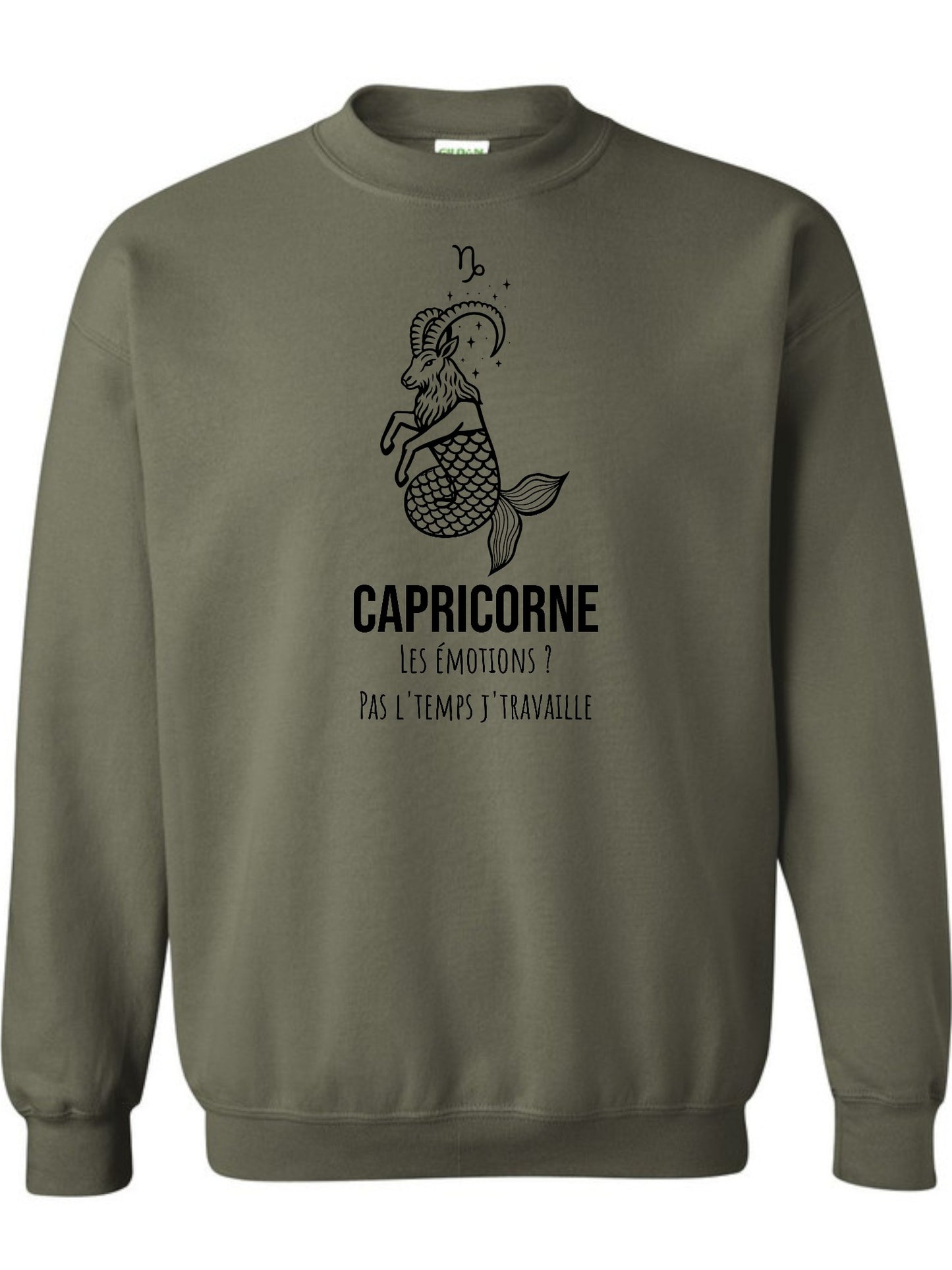 Zodiaque Capricorne