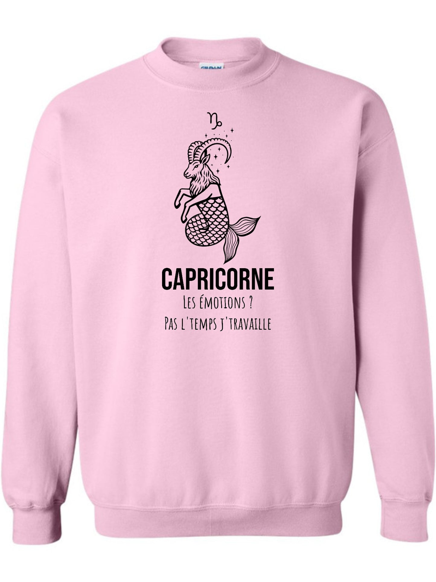 Zodiaque Capricorne