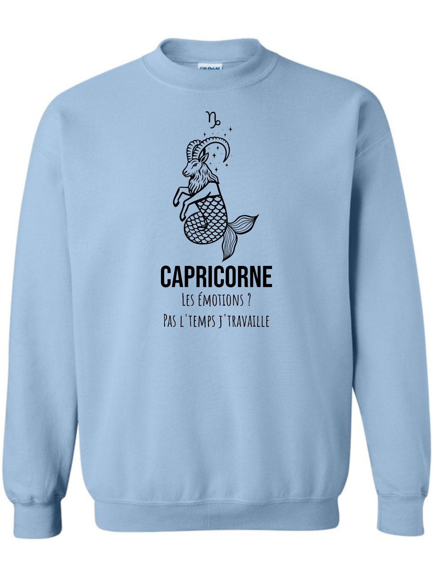 Zodiaque Capricorne