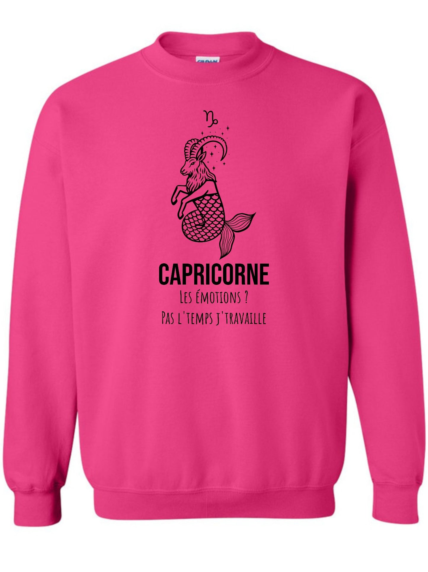Zodiaque Capricorne