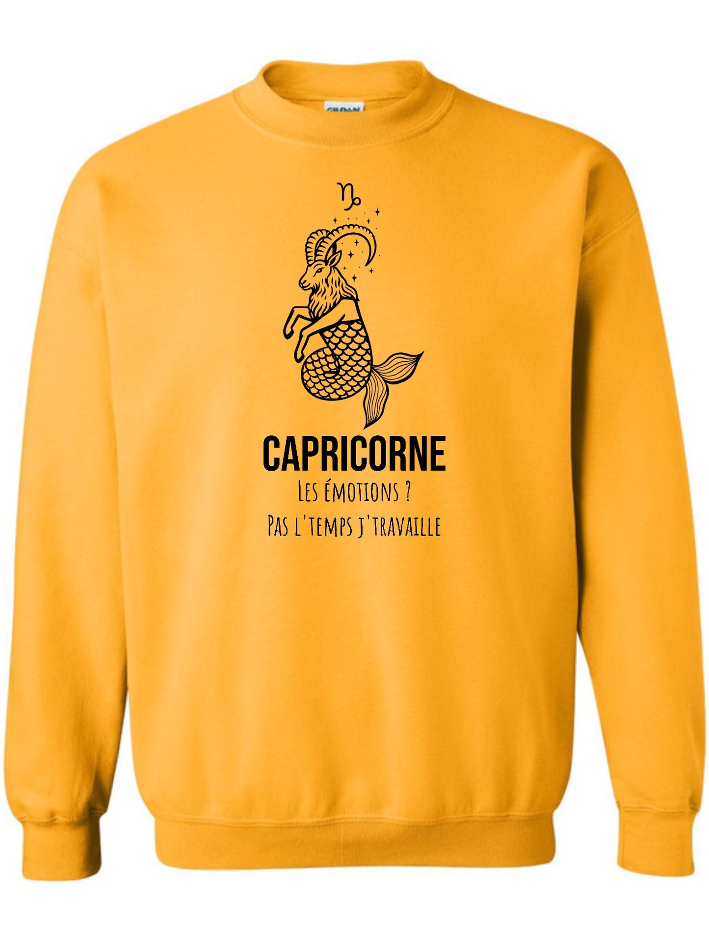 Zodiaque Capricorne
