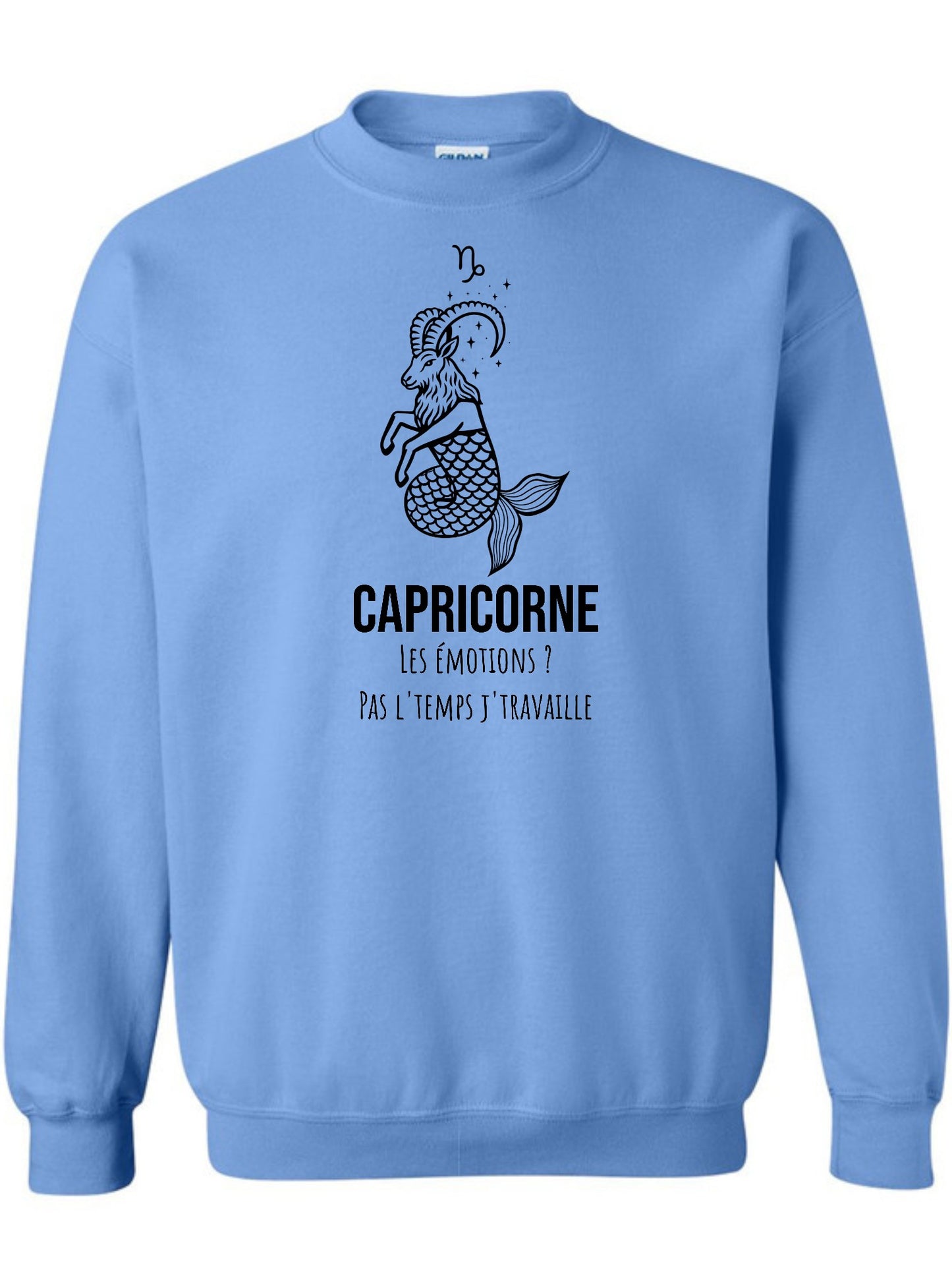 Zodiaque Capricorne