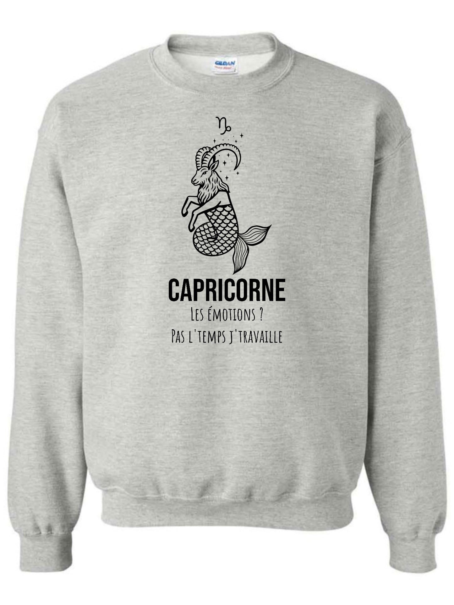 Zodiaque Capricorne
