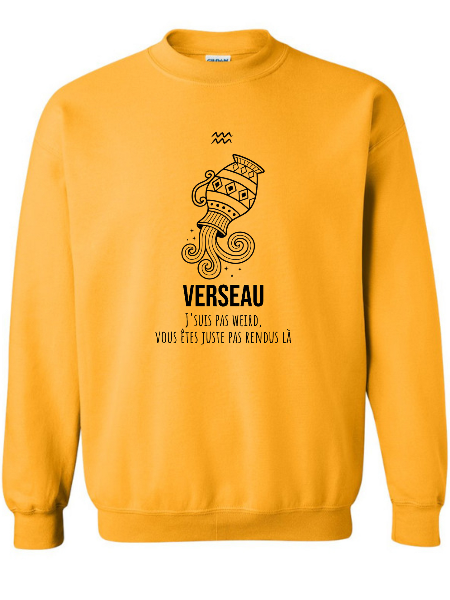 Zodiaque Verseau
