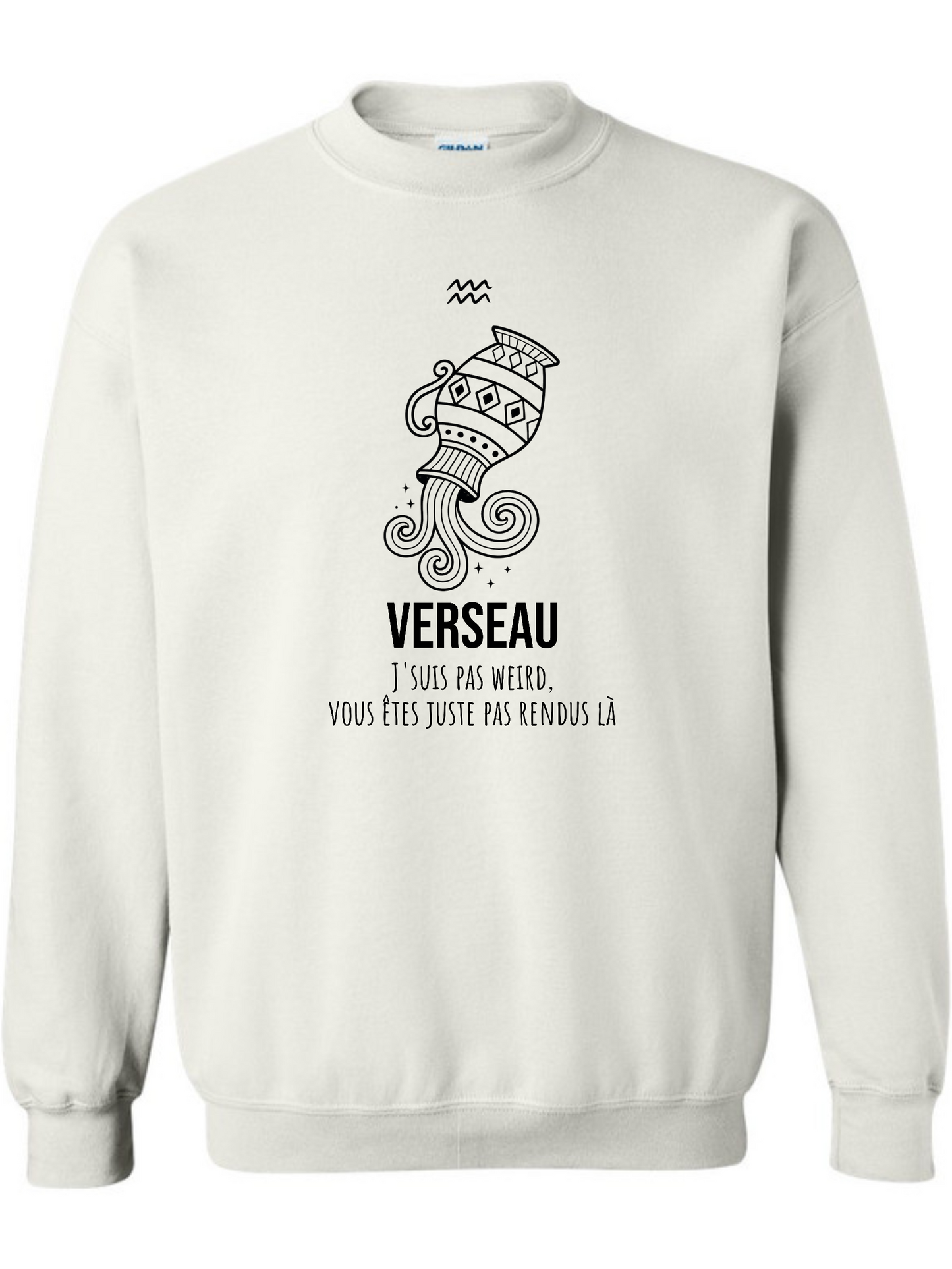 Zodiaque Verseau